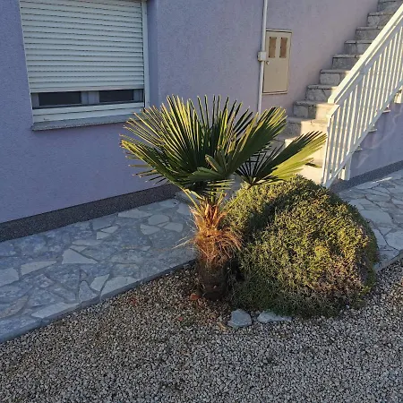 Rilko Apartment Vir